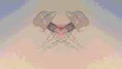 man-o-war animation GIF by Kelly Xi
