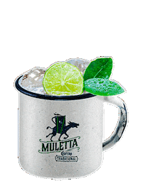 Tradi Cuervo Tradicional Sticker by Licor 43 Mexico