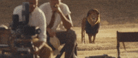 wildest dreams GIF by Taylor Swift