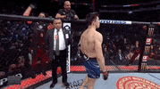 Sport Mma GIF by UFC