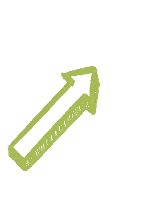 Unc Charlotte Arrow Sticker by CLT Admissions