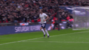 london football GIF by Tottenham Hotspur