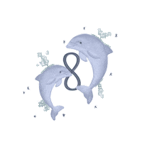 Dolphin Sirius Sticker