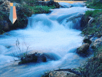 Ausgezeichnet Filtafry Erhaelt Igenda Premium Siegel Partnerz GIF by FranchiseONE.de