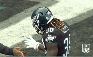 philadelphia eagles football GIF by NFL
