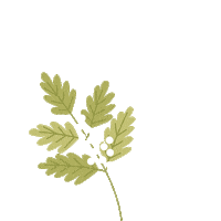 AvonZ spring feuille avonzspringtime Sticker