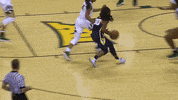 Ncaa Sports Sport GIF by WVU Sports