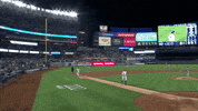 New York Sport GIF by YES Network