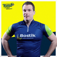Bostikfrance  GIF