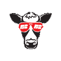 nefarmbureau cool cow farm beef Sticker