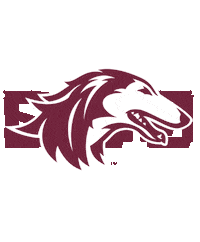 Swim Swimming Sticker by SIU Student Center