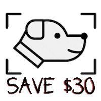 cats dogs Sticker by Barklyshop