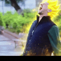 Goko GIF