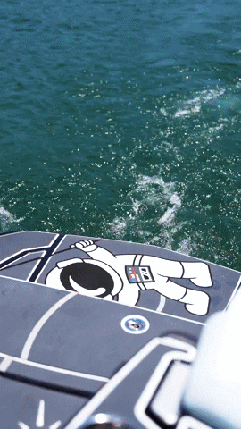 seadek giphyupload GIF