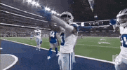 National Football League GIF by NFL