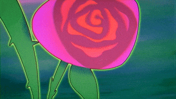 Hoot - Flower