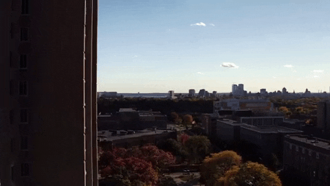 uwm GIF by UW-Milwaukee