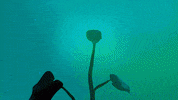 jackwedge  GIF