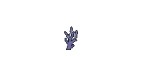 Coral Reef Sea Sticker