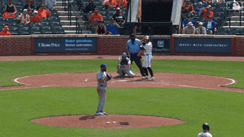 Blue Jays Baseball GIF by Toronto Blue Jays