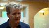gordon ramsay facepalm GIF