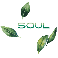 soulhairbrazil soul cabelo cosmeticos soulhair Sticker