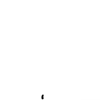 luamarinho flower bloom flor blooming GIF