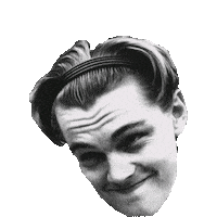 leonardo dicaprio leo Sticker