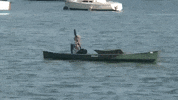 florida GIF