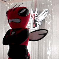 Mascot Virginia GIF by University Of Lynchburg
