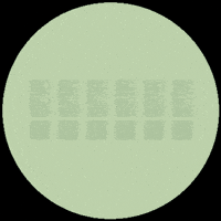 Important GIF by Kastl_innsbruck