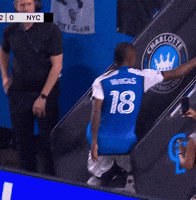 Vamos Lets Go GIF by Major League Soccer