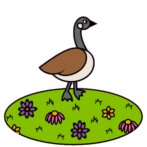 Goose Sticker by UWaterloolife