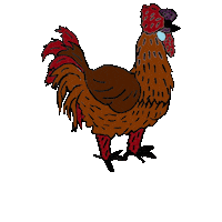 Silkies Seidenhuhn Sticker