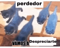 Xd GIF