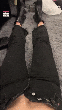 Fashion Style GIF by Piñata Farms: The Meme App