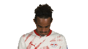 Look Up Rb Leipzig Sticker by Bundesliga