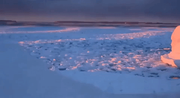 Waves of Ice Wash Against Lake Michigan Shore
