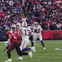 Buffalo Bills Dot GIF