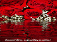 roses GIF