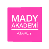 Istanbul Madydans Sticker by Mady