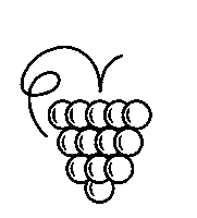 Grape Sticker by Bienwald-Marathon