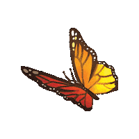 Butterfly Lifeway Vbs Sticker by Olivia Waugh