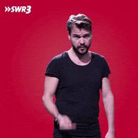 Fu Fuck You GIF by SWR3