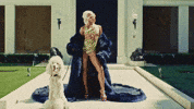 Dog Diamonds GIF by Saweetie