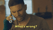 Dick Wolf Fbi Fam GIF by CBS