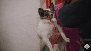 Kate Spade GIF by kate spade new york