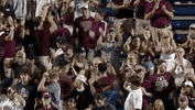 Baseball College GIF by NCAA Championships
