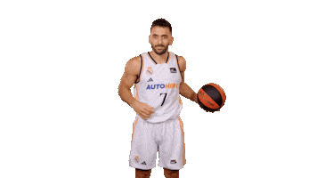 Real Madrid Basketball Sticker by ACB