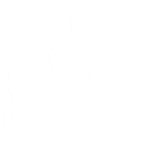 diputadosargentina congreso marcha manifestacion trafico Sticker